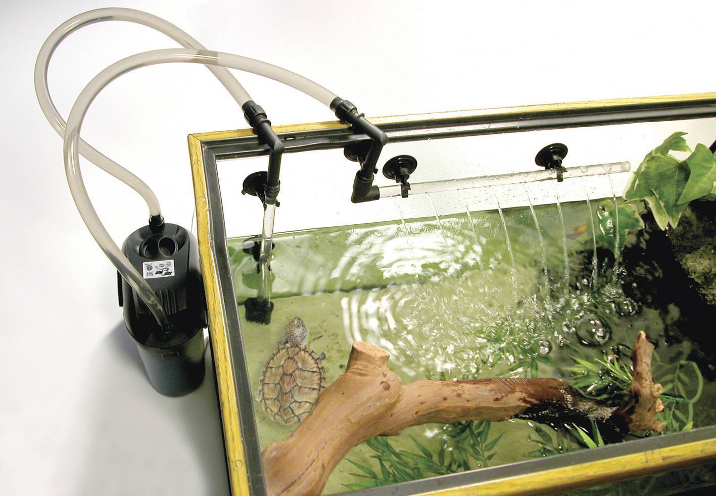 Профессиональная чистка аквариума своими руками: все методы и необходимые материалы