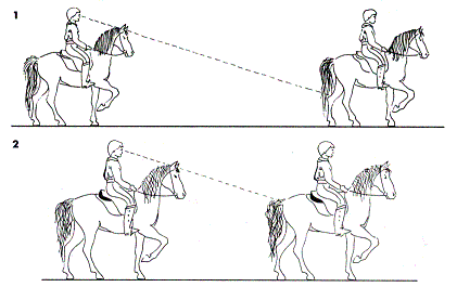 Уроки верховой езды в манеже | конный портал