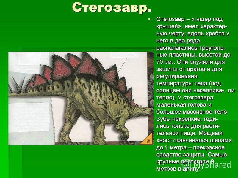 Стегозавры - вики