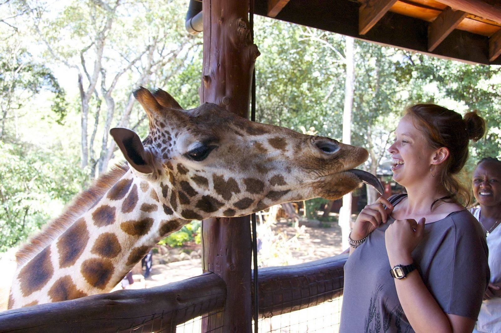 10 самых лучших зоопарков мира - zefirka