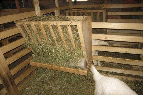 Кормушки для коз: варианты, способы применения и как сделать своими руками