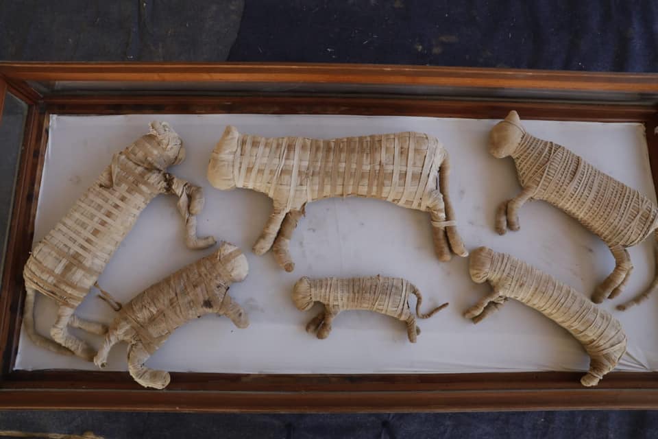 Город гадов крокодилополь: как египтяне поклонялись богу с головой рептилии и зачем им тысячи мумий крокодилов