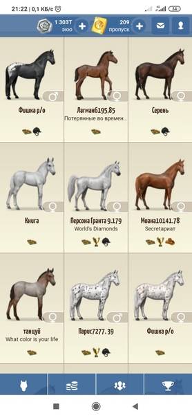 Клички для лошадей: красивые и известные имена, список имен