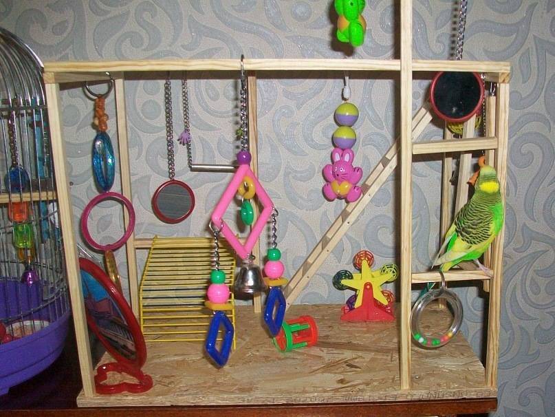 Лестница для попугая своими руками: из веток ивы, бус и других материалов