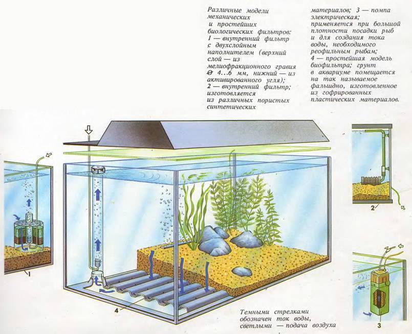 Фитофильтр для аквариума: топ 5 растений, как сделать своими руками