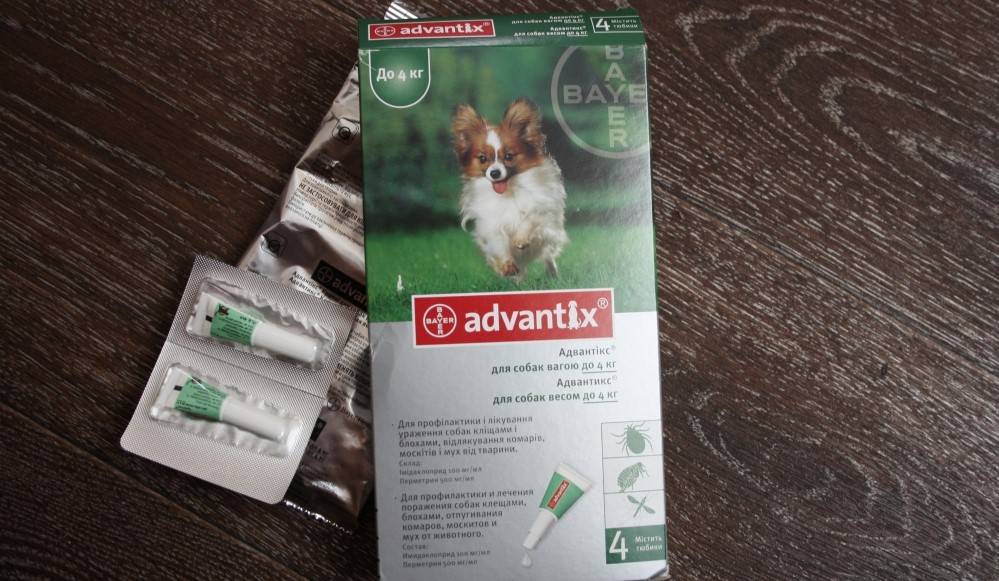 Адвантикс для собак: инструкция по применению, дозировки, отзывы специалистов