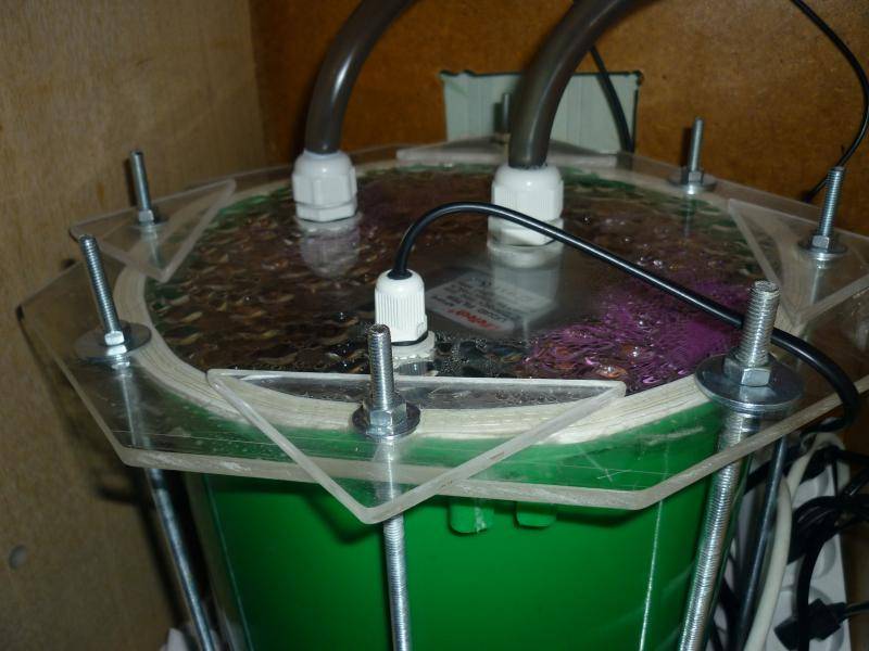 Биофильтрация воды в аквариуме или биофильтр своими руками