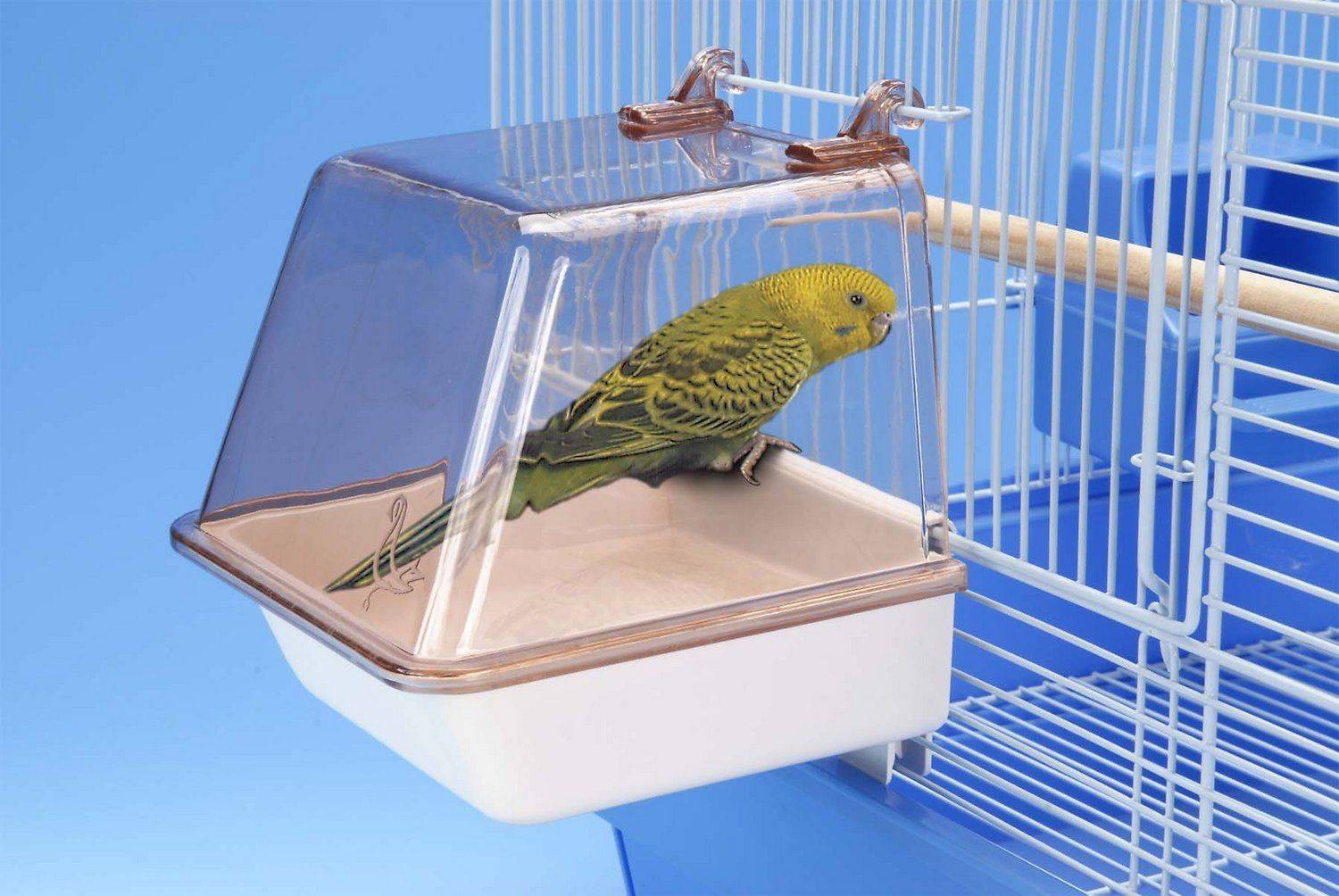 Купалка для попугаев: какие виды ванночек можно использовать, как сделать своими руками