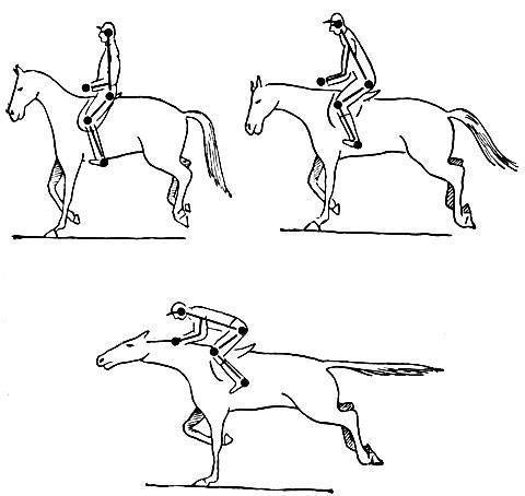 Как кататься на лошади: обучение верховой езде