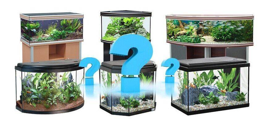 Как выбрать аквариум: виды и их преимущества