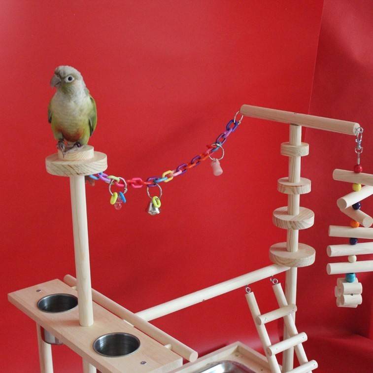 Стенд для попугая: зачем он нужен и как сделать своими руками? (обновлено)