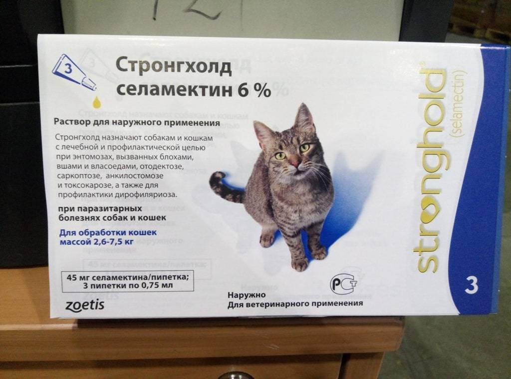 Стронгхолд для кошек - назначение, эффективность и частота применения средства