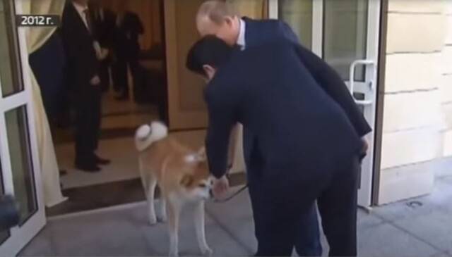 Собаки президента россии владимира путина