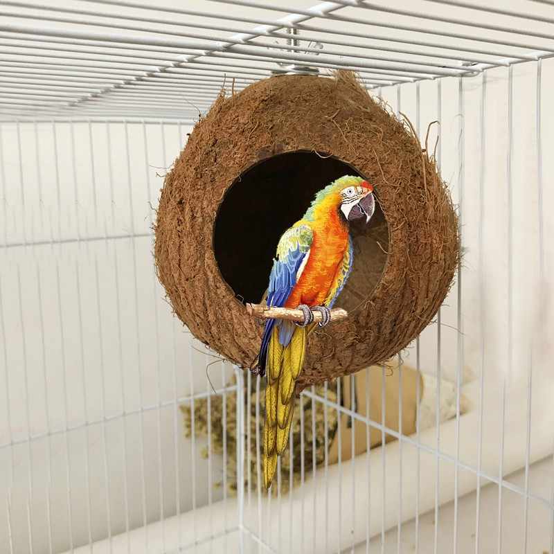 ? гнездо для волнистых попугаев: размеры, материалы, форма