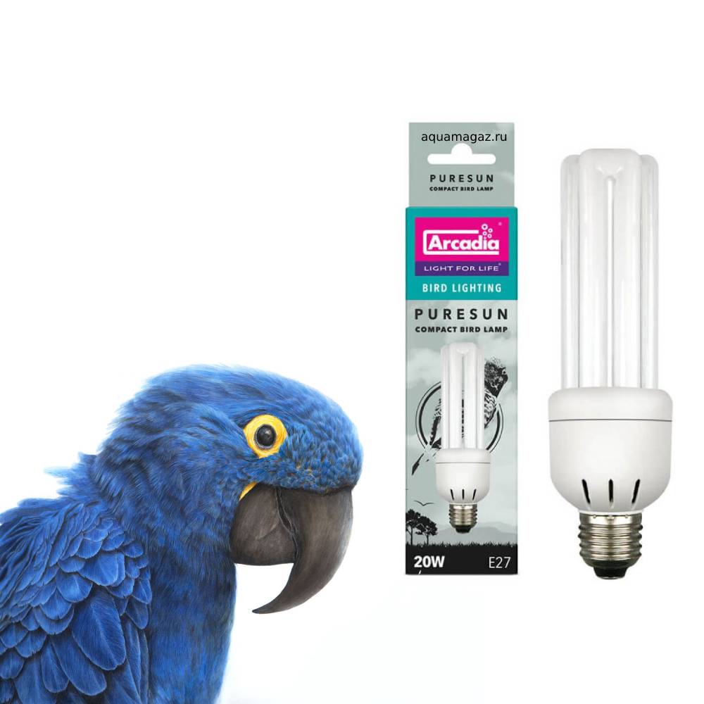 Лампа для попугая: ультрафиолетовая, какую выбрать