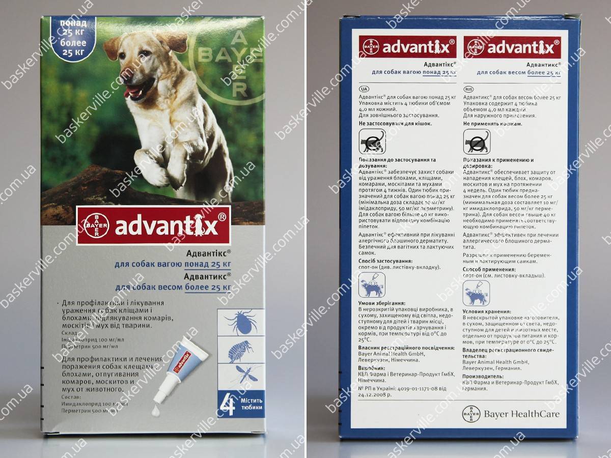 Адвантикс для собак – назначение, инструкция, отзывы