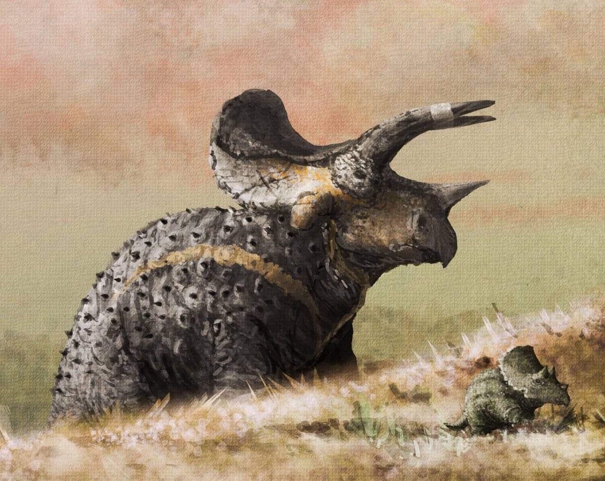 Трицератопс | доисторический мир вики | fandom