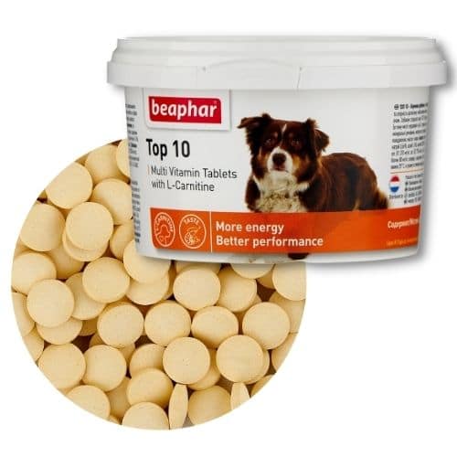 ТОП-46 лучших витамин для собак 2022 на все случаи жизни