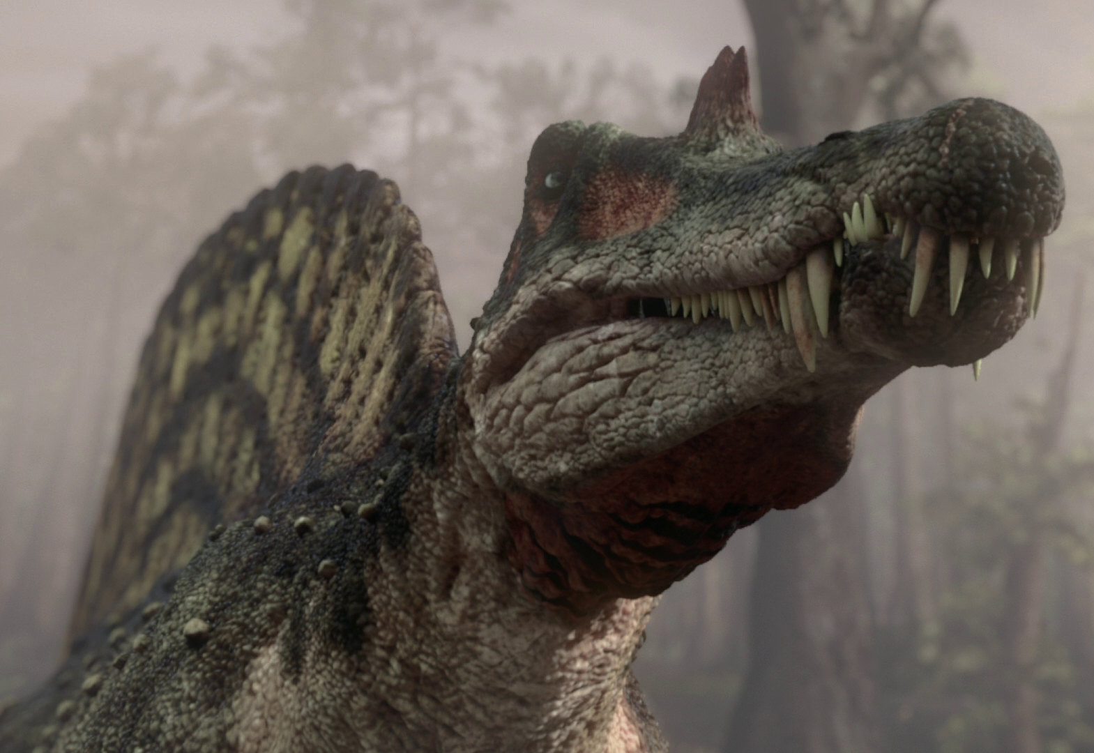 Тираннозавр: описание, размеры, раскраска, сколько весит