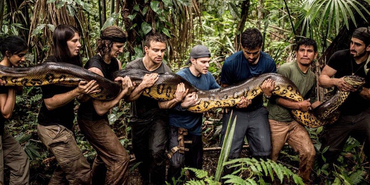 Самая большая змея на земле: виды, внешний вид, образ жизни, питание