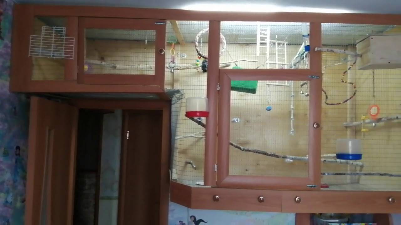 ᐉ клетка для попугая своими руками: как сделать, пошаговая инструкция - kcc-zoo.ru