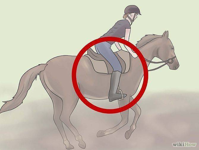 Средства и методы управления лошадью