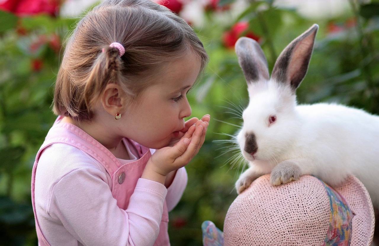 Как назвать кролика девочку и мальчика — лучшие имена | «твой кролик»