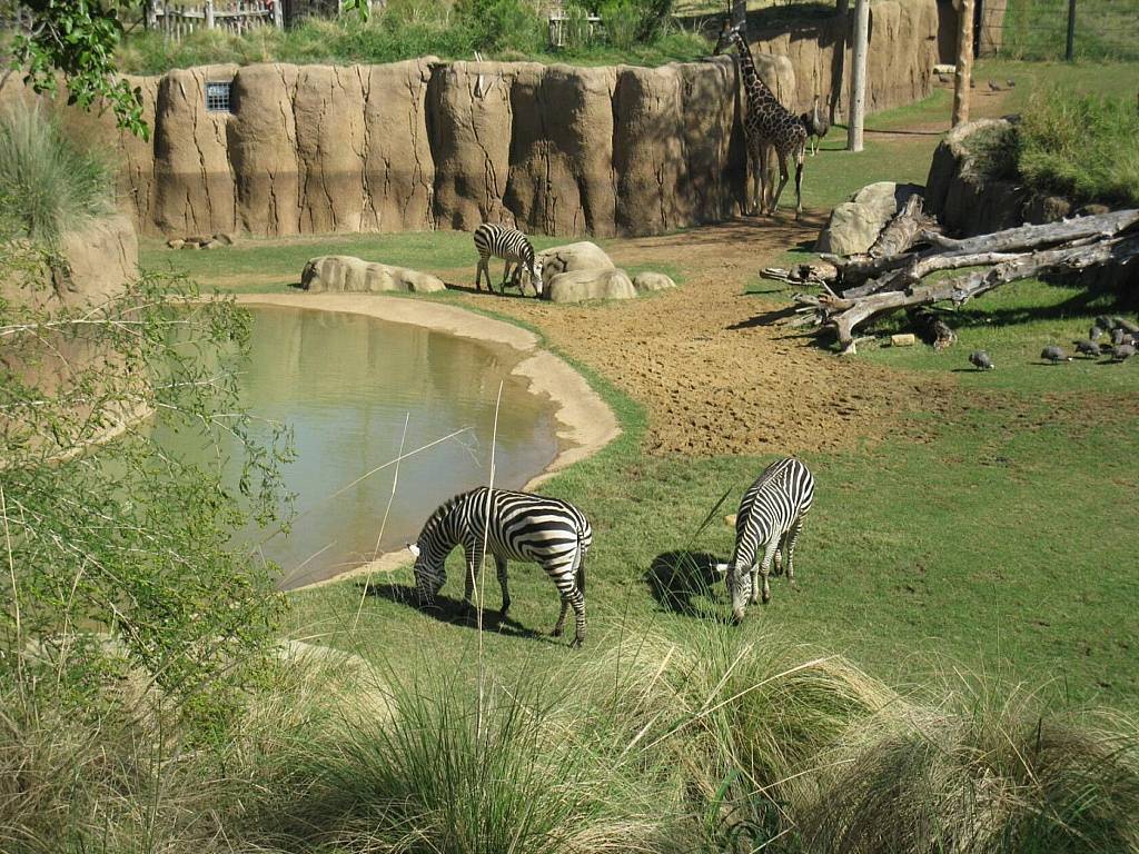 8 крупнейших зоопарков мира » journey-assist