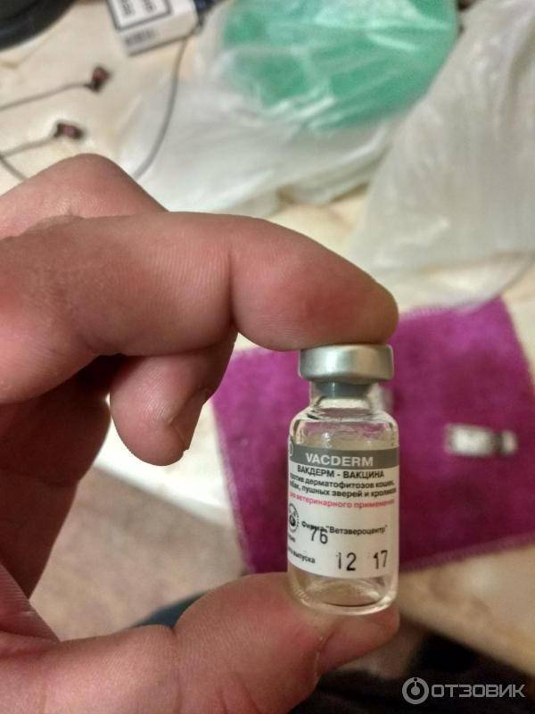 Вакдерм вакцина для собак и кошек от лишая и вакцина вакдерм-f для кошек