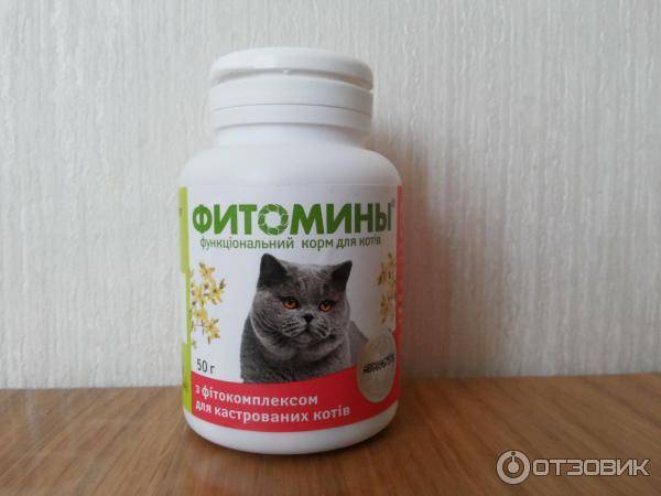 Лучшие витамины для кошек и котов: топ-10 рейтинг 2021