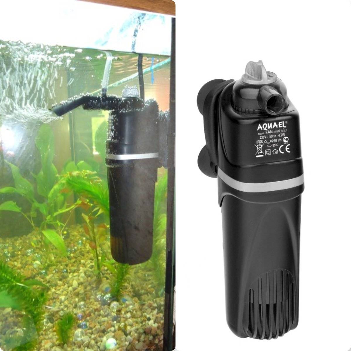 Фильтры для аквариумов (очистка воды для рыб): какой лучше выбрать, фильтрация, виды (внутренний, внешний), лучшие