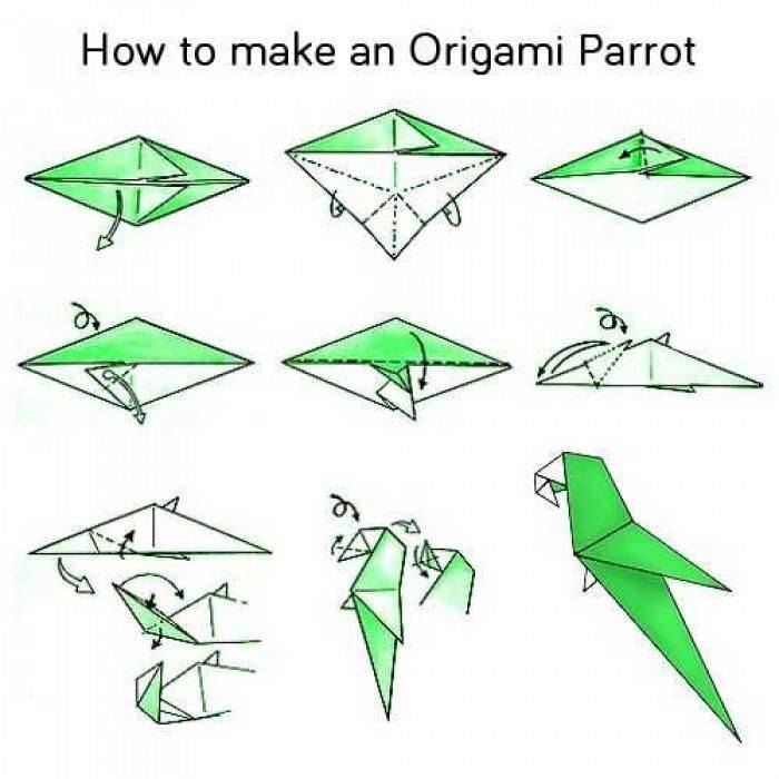 Оригами попугай: поэтапная инструкция для начинающих создания попугаев из бумаги - журнал "сам себе изобретатель"