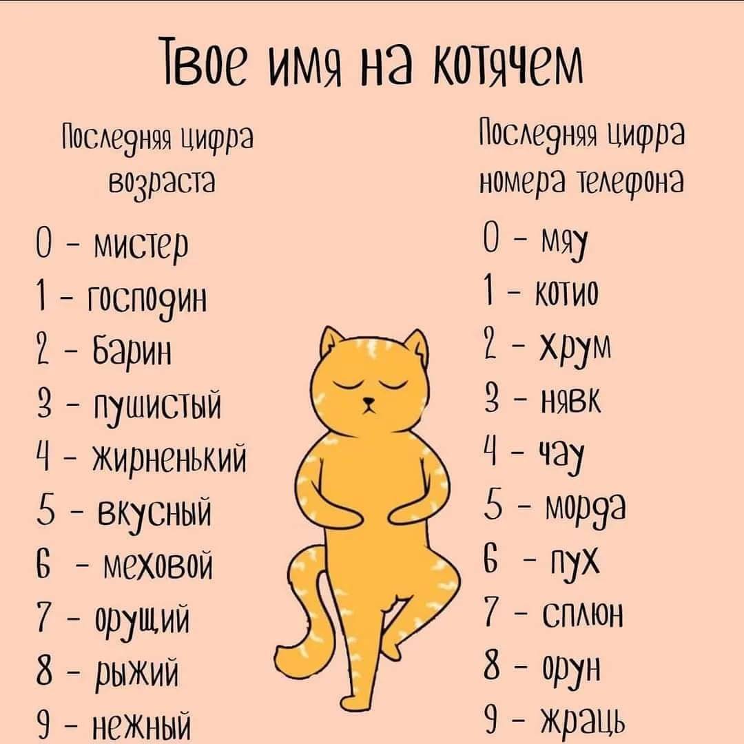 ᐉ как назвать черного котенка - ➡ motildazoo.ru