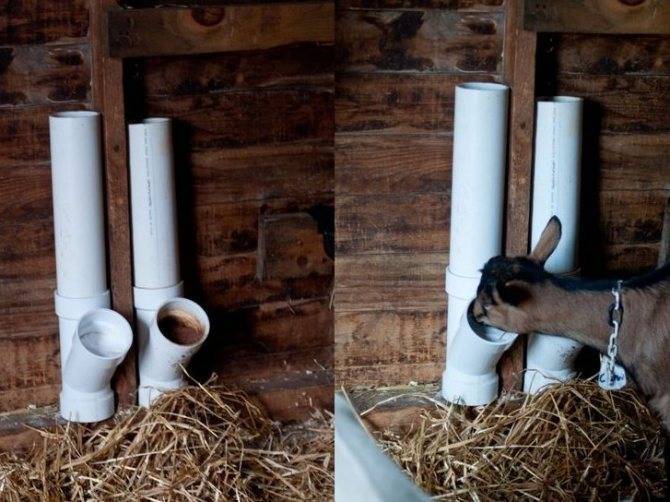Кормушка для коз: как сделать под сено, мастерим своими руками для разного возраста животных
