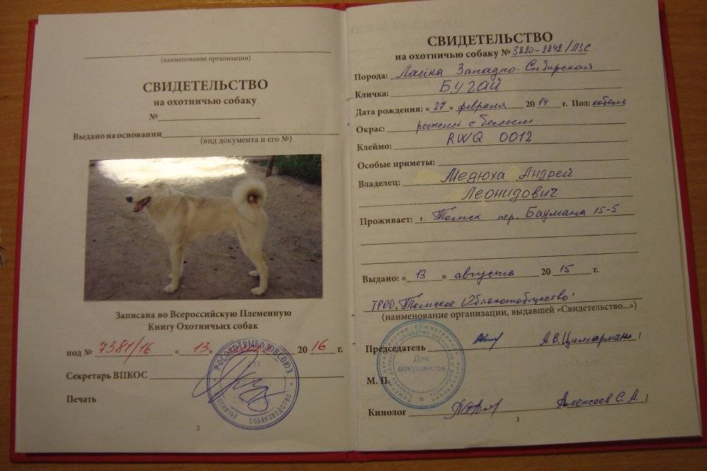 Как получить документы на собаку в ркф— паспорт, родословная, акт вязки и другие