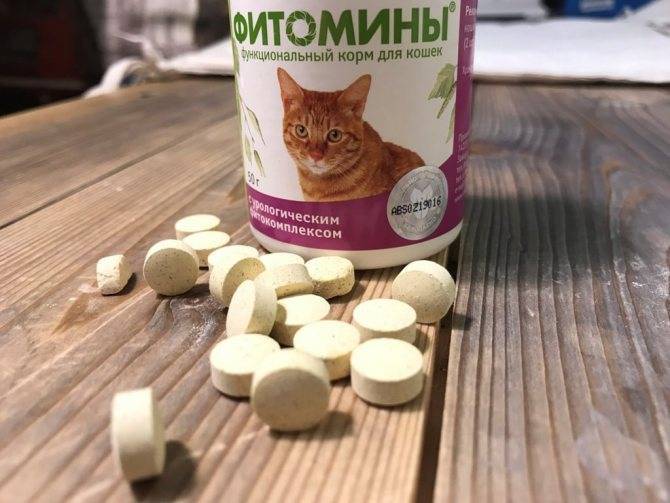 Кошки, как правильно давать кошке витамины, специализированные витаминные комплексы