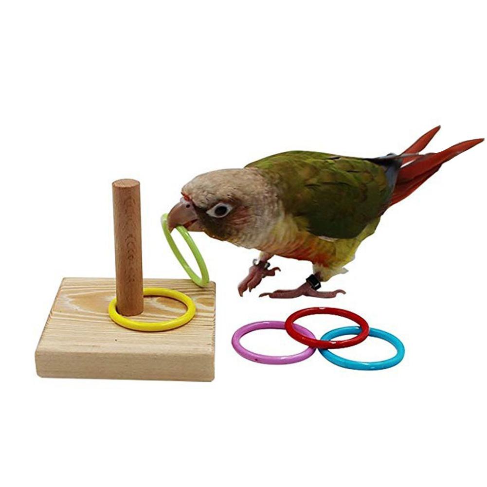 Игрушки для попугаев - какие нужны, как выбрать