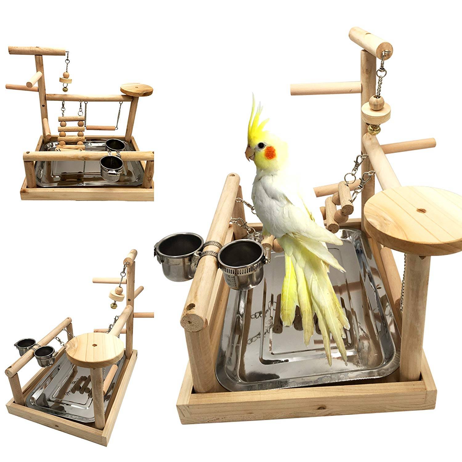 Что такое игровой стенд для попугая, обзор лучших моделей и как сделать своими руками