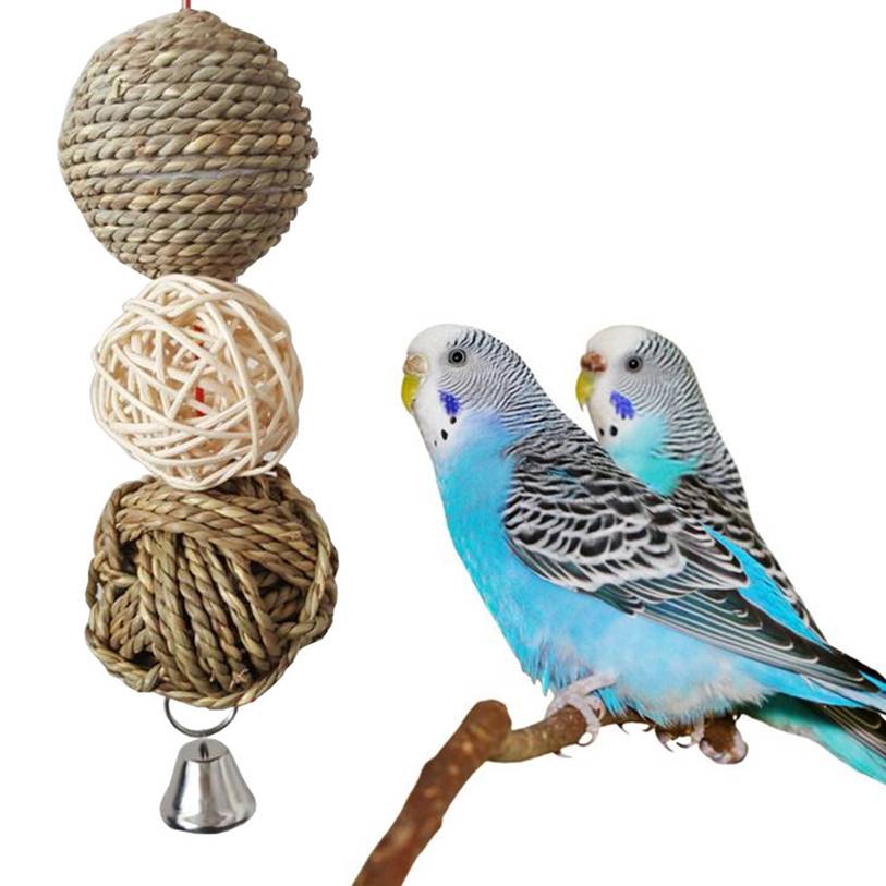 Игрушки для попугаев - какие игрушки купить попугаям