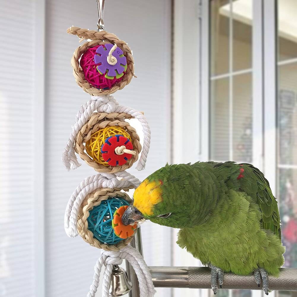 Как сделать игрушки для попугаев из подручных средств