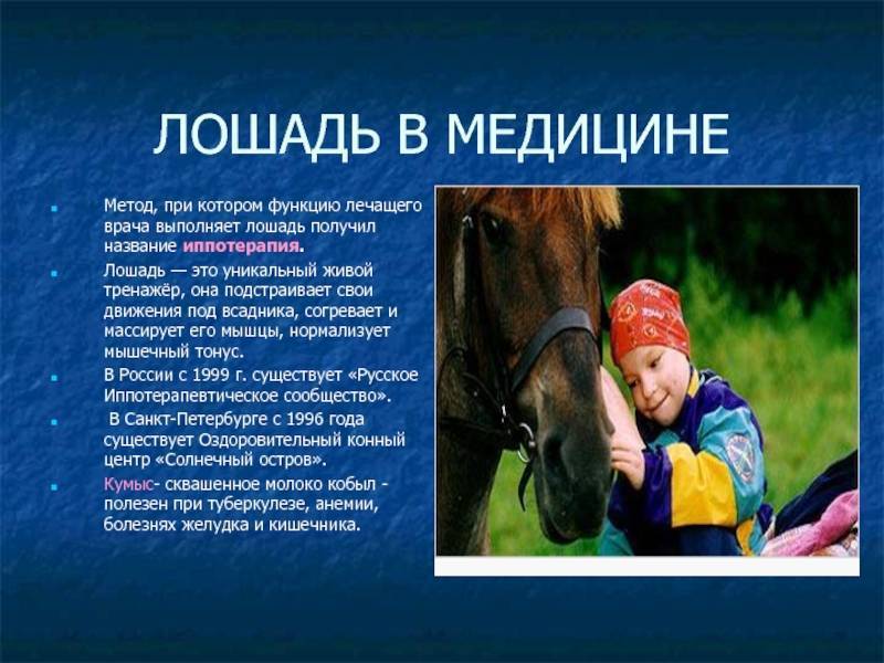 Катание на лошадях: стили верховой езды и конные лагеря - 2021 travel times
