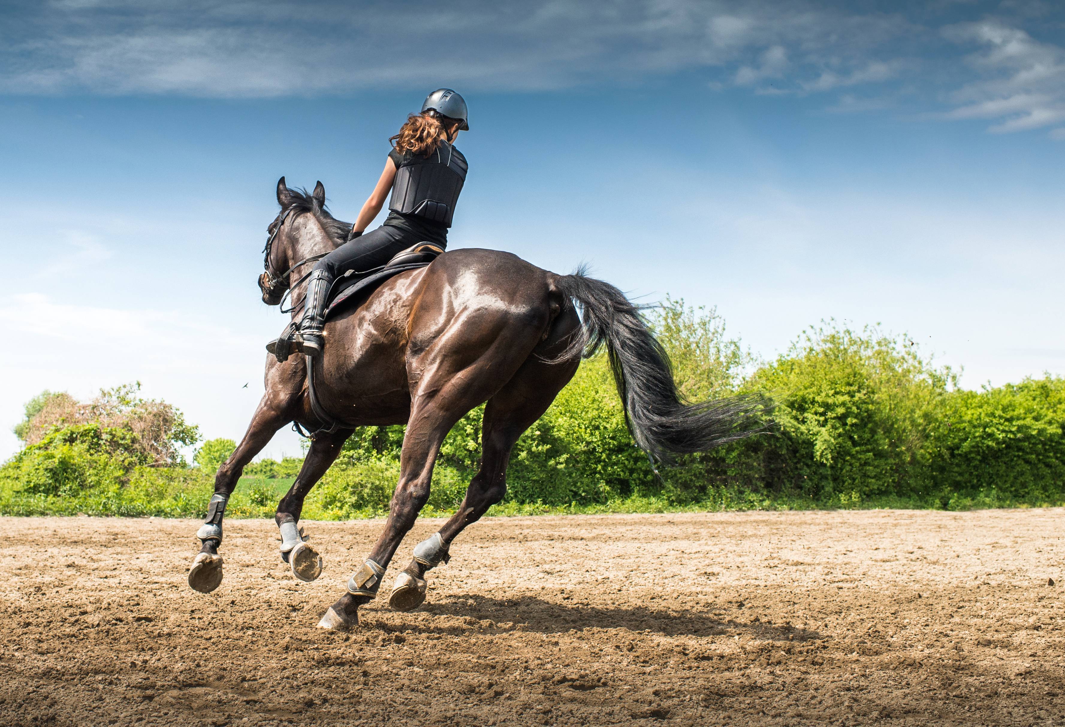 Верховая езда на лошадях: виды скачек