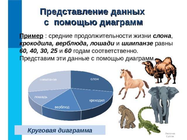 Средняя продолжительность жизни слонов - oozoo.ru