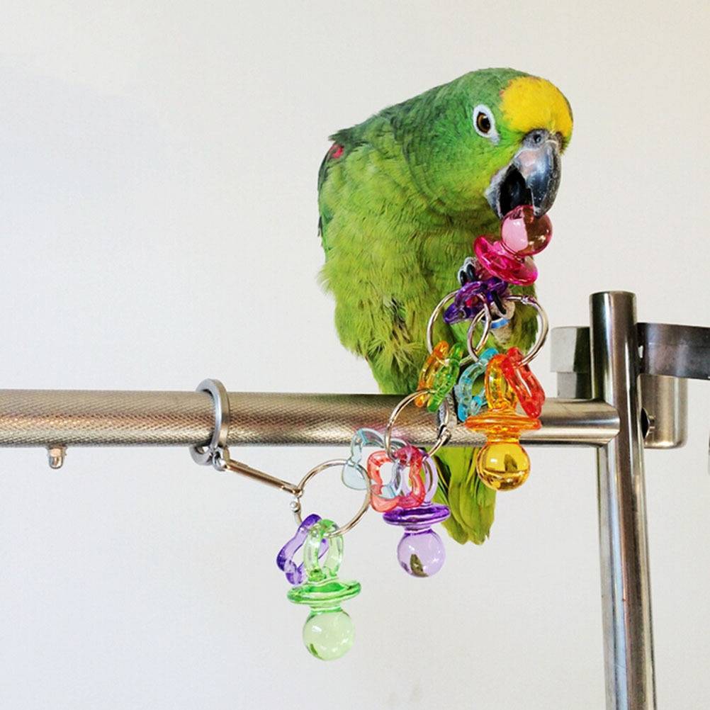 Интересные, забавные игрушки для попугаев волнистых. делаем игрушки своими руками - твой питомец