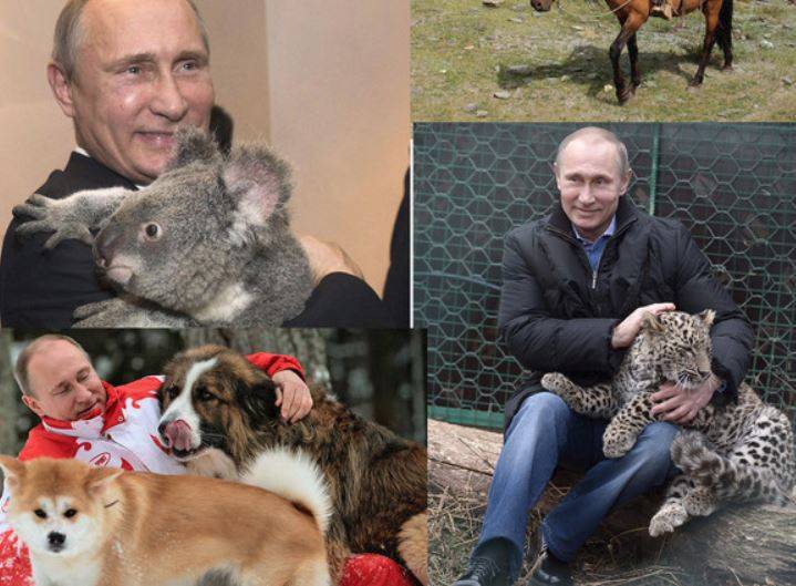 Путин: собака Конии и другие. Какое имя у нового любимца?