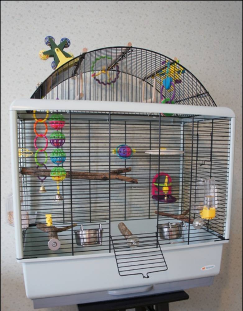 Клетка для попугая своими руками: пошаговая инструкция, как сделать самодельный домик для волнистых птиц, можно ли смастерить из дерева, нужны ли чертежи и схемы