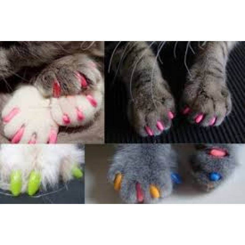 Накладные ногти для кошек — советы и рекомендации