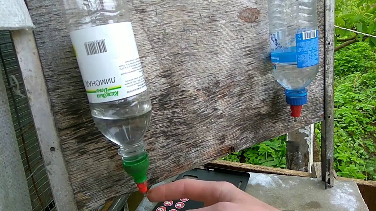 Простая и недорогая поилка: своими руками из бутылки, вакуумные разновидности для кроликов и крыс