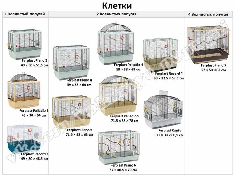 Клетки для волнистых попугаев: как выбрать, размеры, обустройство