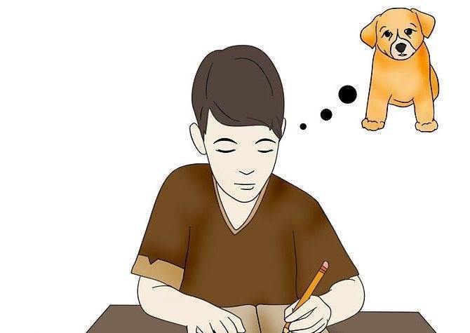 Ребёнок просит завести собаку: как реагировать и что решить? - детская психология
